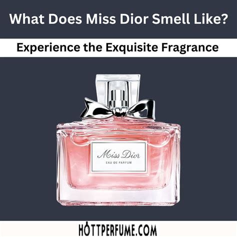 boots uk miss dior|what does Miss Dior perfume smell like.